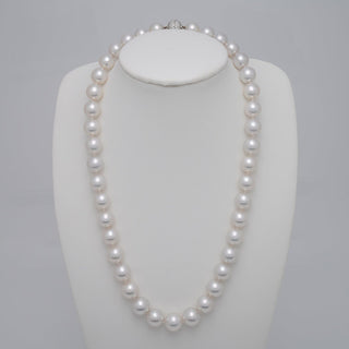 10.0–12.0 mm round South Sea pearl and diamond necklace on bust