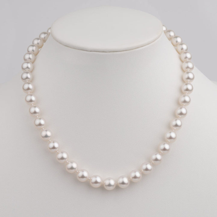 9.1 to 10.0mm AAA White South Sea Round Pearl Necklace on bust