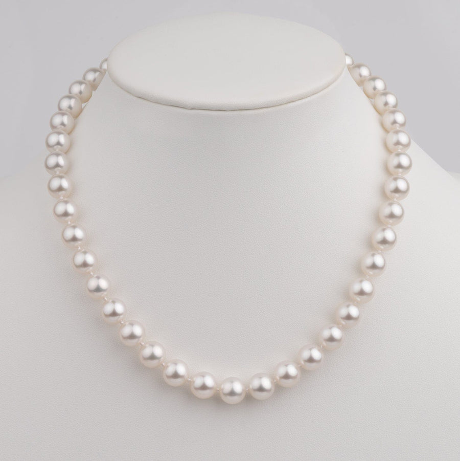 9.1 to 10.0 mm AAA White South Sea Round Pearl Necklace on bust