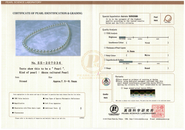 Certificate 7.5-8.0 mm Hanadama Akoya Strand - PSL Certificate SS-207036