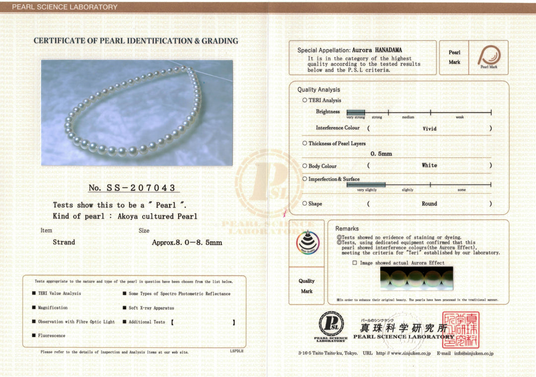 Certificate 8.0-8.5 mm Hanadama Akoya Strand - PSL Certificate SS-207043