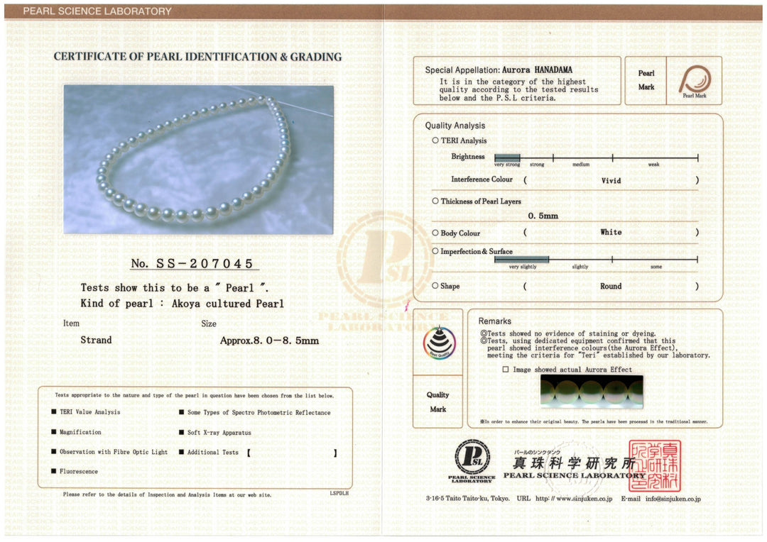 Certificate Hanadama Akoya Strand - PSL Certificate SS-207045