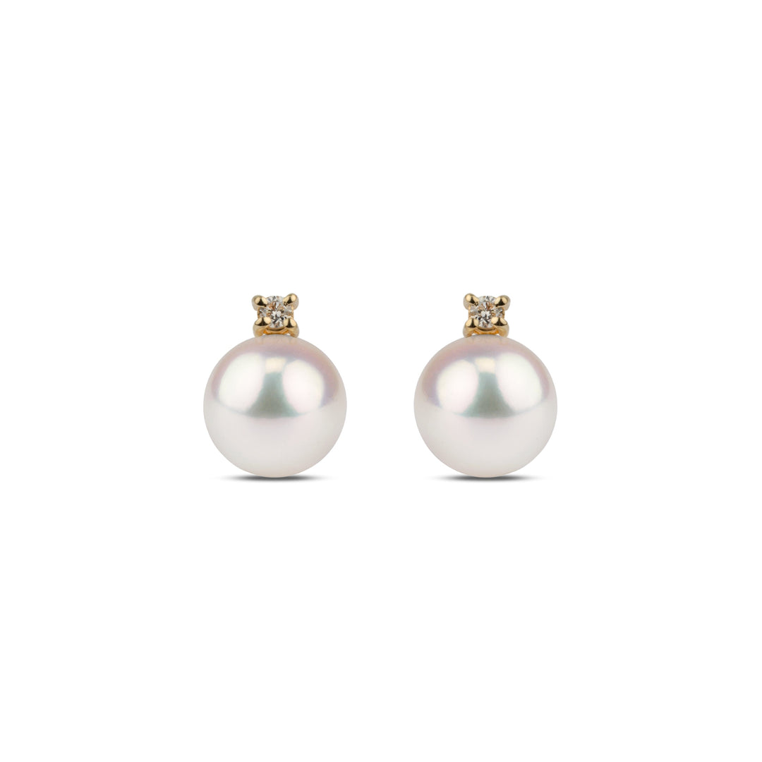 Starlight Collection 8.0-8.5 mm AAA Akoya Pearl and Diamond Earrings featuring lustrous white Akoya pearls set with sparkling diamonds on yellow gold studs for elegant timeless style.