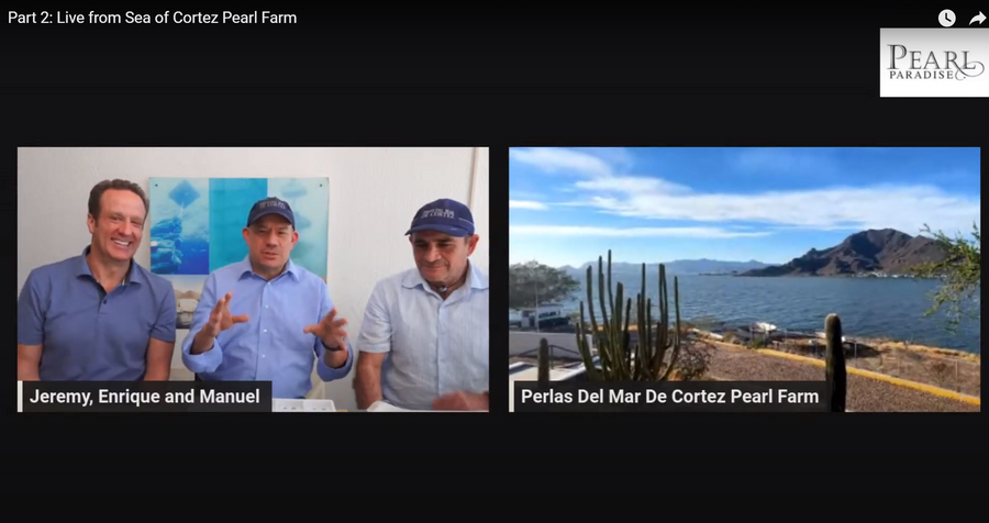 The Sea of Cortez Pearl Farm Livestream with Jeremy Manuel and Enrique