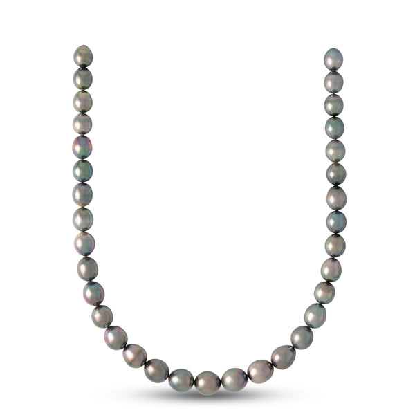 10.1–12.3 mm AAA Tahitian Oval to Drop Pearl Necklace with a 14K White Gold Polished clasp