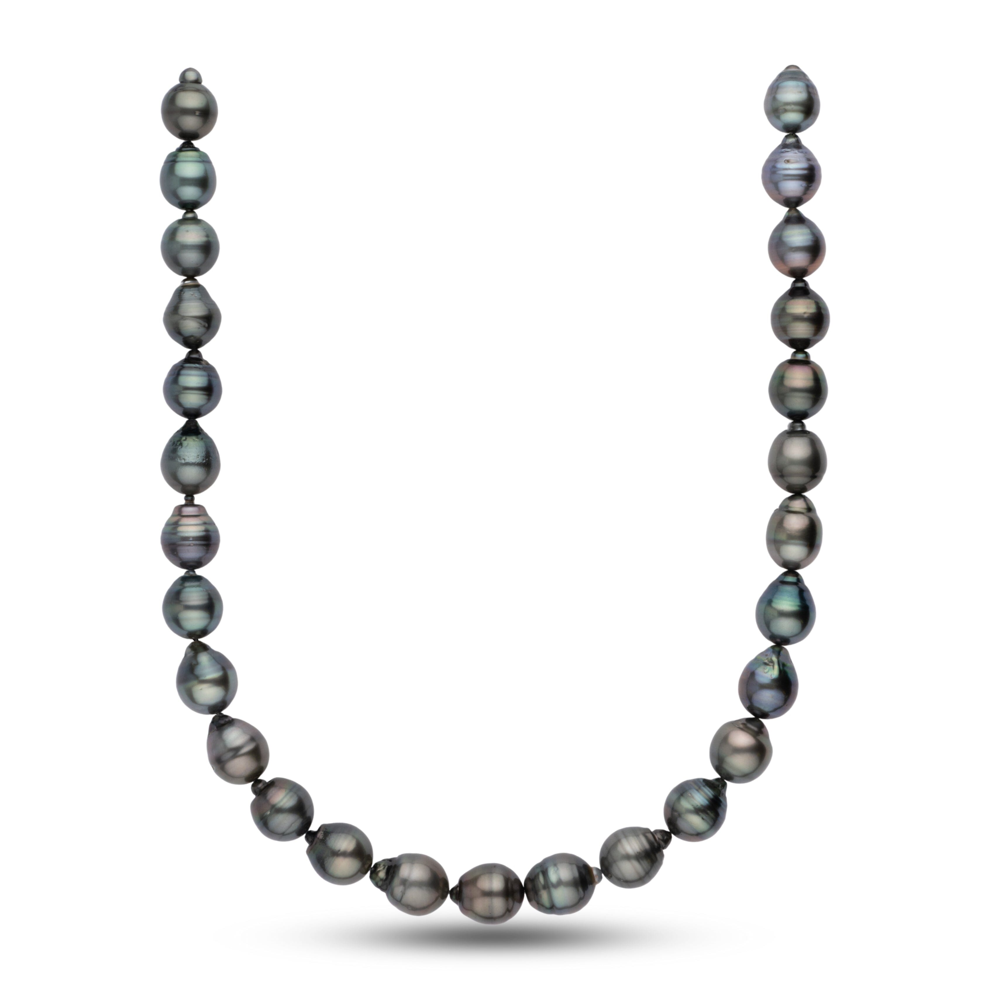 【希少】BLACK PEARL PROTO 178 19-20 Black Pearls | Tahitian Pearls | Pearl Paradise – Tagged 
