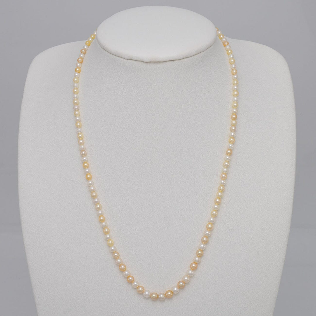 2-4.5 mm Natural Multicolor Akoya Pearl Round Strand on bust