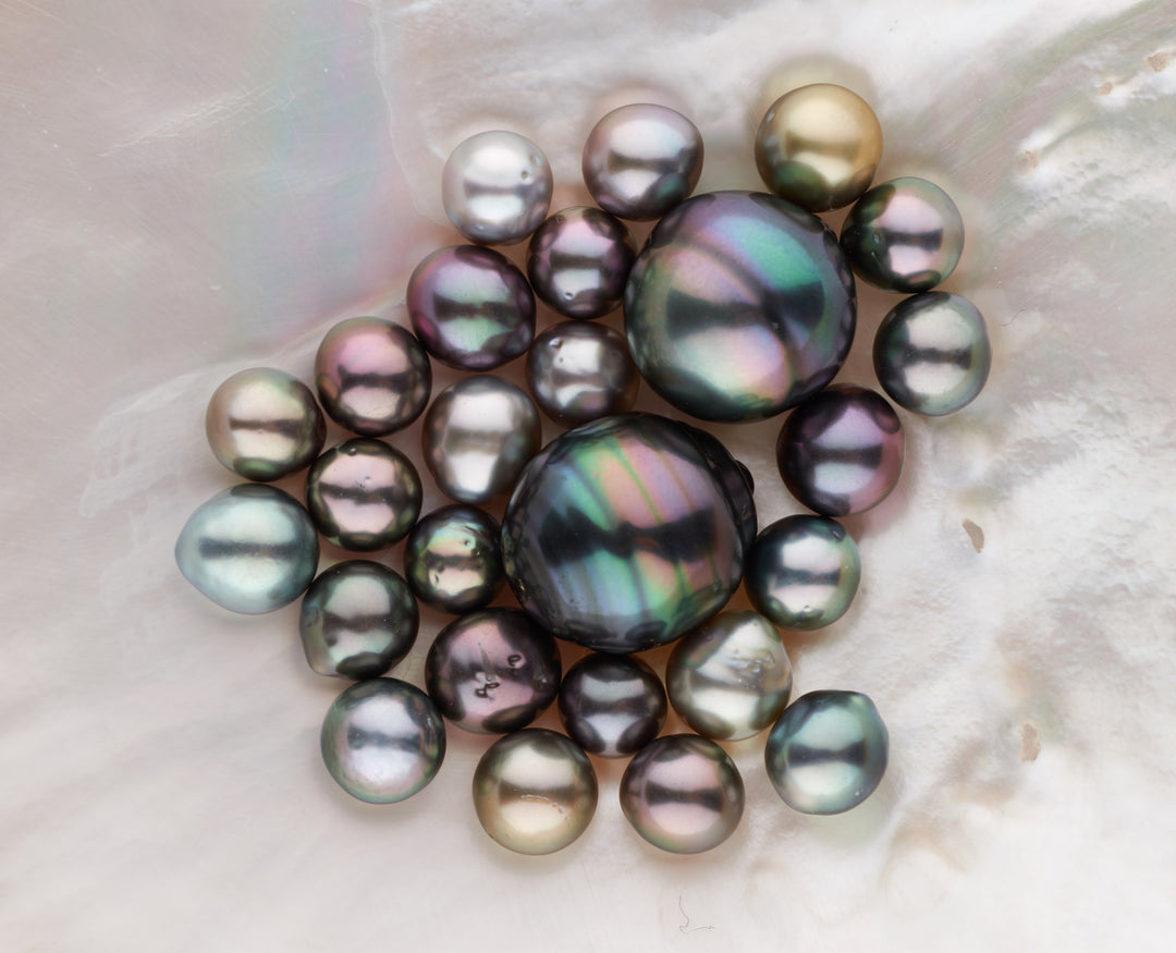 Loose, colorful Tahitian pearls in an oyster shell