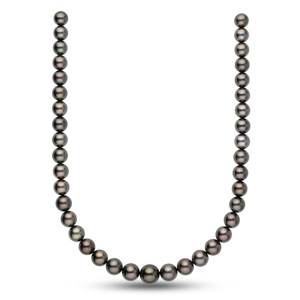 10.0-13.5 mm AA+ Tahitian Round Pearl Necklace showcasing lustrous dark pearls with subtle iridescent hues in a classic strand design.