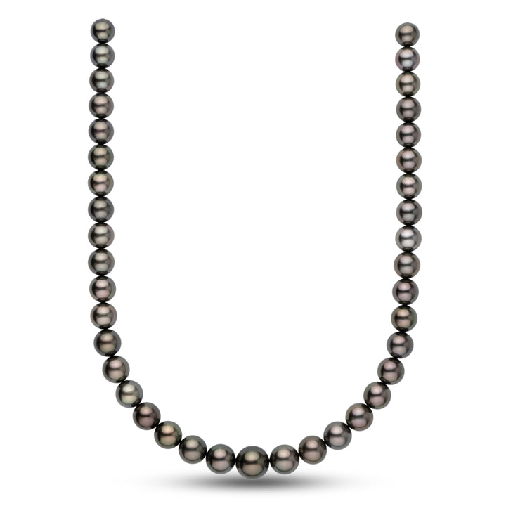 10.0-13.5 mm AA+ Tahitian Round Pearl Necklace