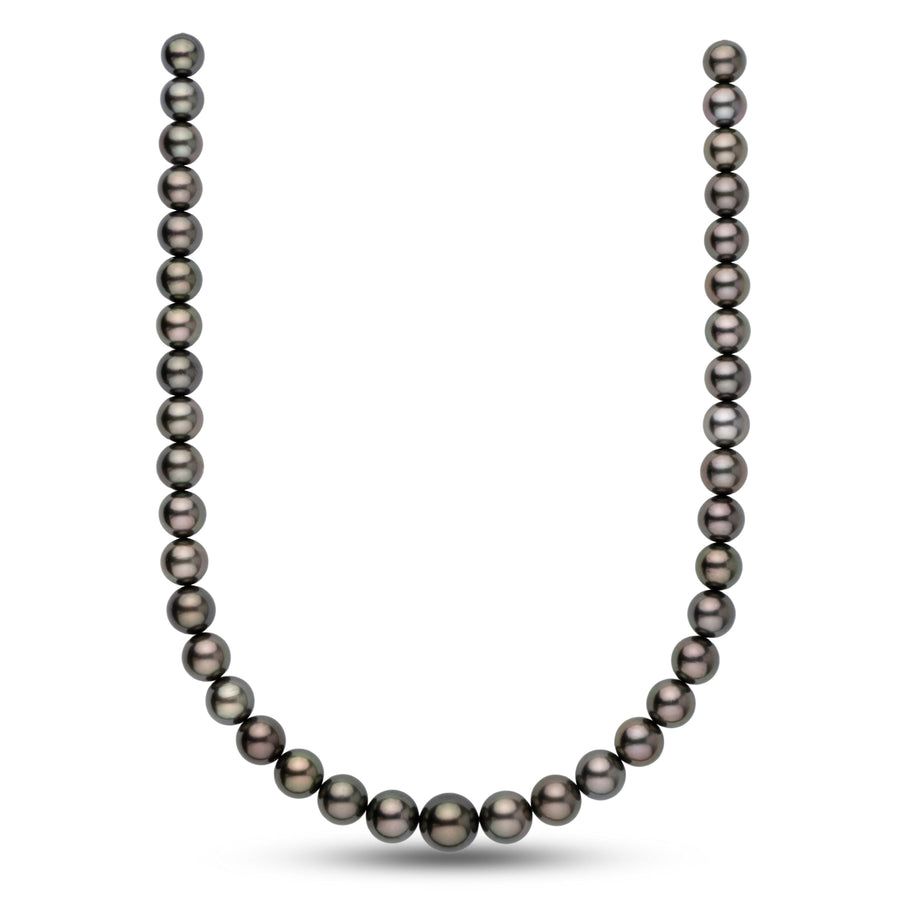 10.0-13.5 mm AA+ Tahitian Round Pearl Necklace showcasing lustrous dark pearls with subtle iridescent hues in a classic strand design.