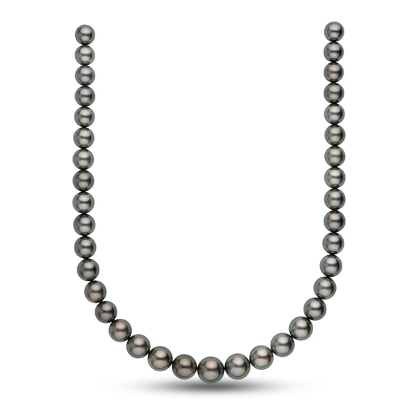 10.0-13.4 mm AAA Tahitian Round Pearl Necklace featuring lustrous, dark-colored cultured pearls with subtle overtones, elegantly strung for a classic, timeless look.