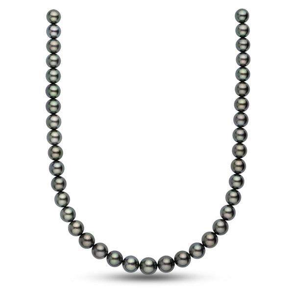 10.0-12.2 mm AA+/AAA Tahitian Round Pearl Necklace featuring lustrous dark gray pearls with subtle iridescent overtones, elegantly strung for a timeless look.
