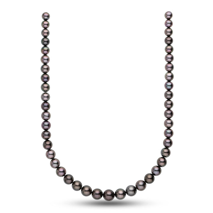 8.1-11.4 mm AA+ Tahitian Round Pearl Necklace