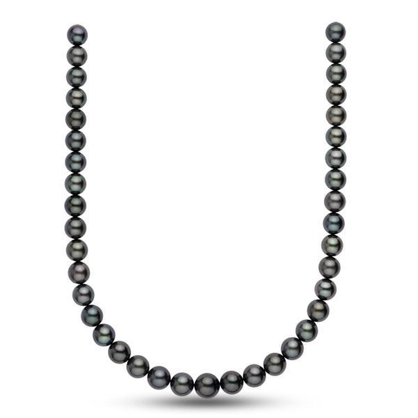 10.0-12.4 mm AA+/AAA Tahitian Round Pearl Necklace featuring lustrous black and dark green cultured pearls in a classic strand design.