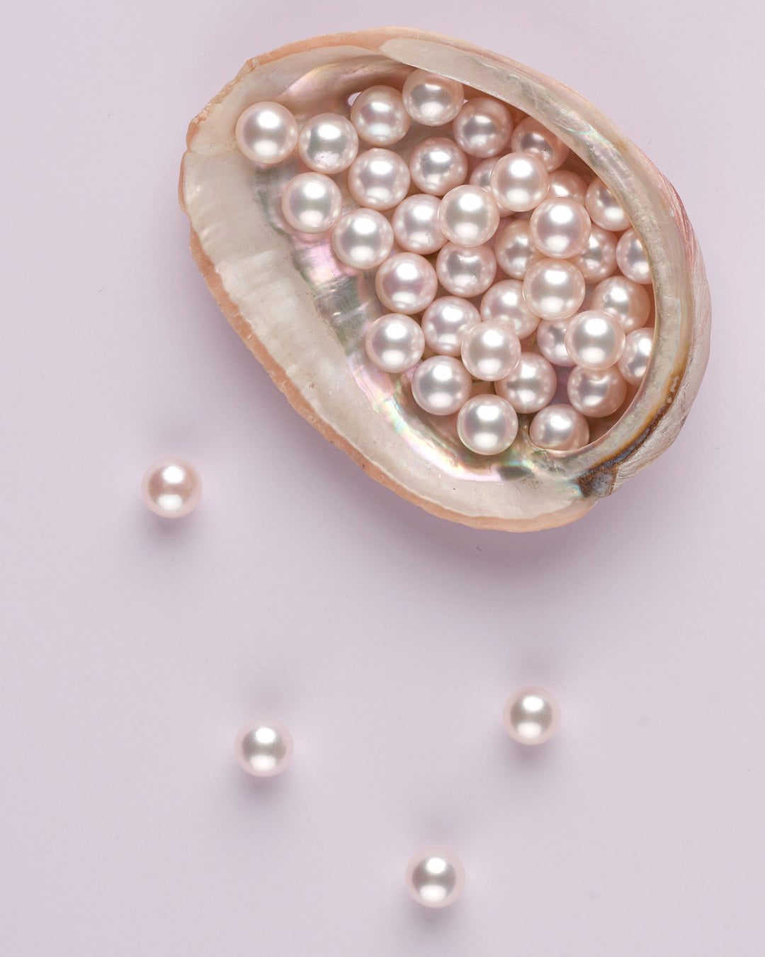 Loose, lustrous akoya pearls in oyster shell