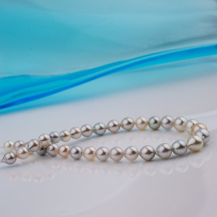 B-18: 4.5-6 mm Multicolor Drop Akoya Pearl Bracelets, 7.25" Unstrung, featuring a strand of elegant multicolor akoya pearls with subtle drop shapes on a reflective surface.