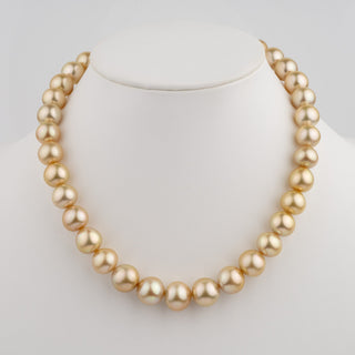 12.0–14.7 mm AA+/AAA Golden South Sea Round Pearl Necklace displayed on a white jewelry stand, showcasing lustrous golden cultured pearls in a classic strand design.