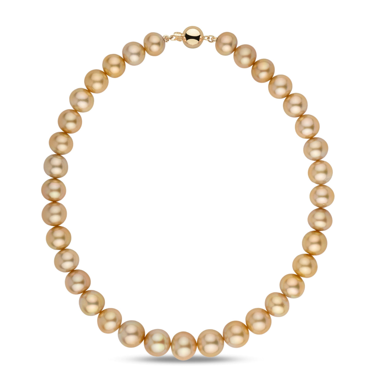 12.0–14.7 mm AA+/AAA Golden South Sea Round Pearl Necklace featuring lustrous golden pearls with a polished gold clasp, showcasing elegant and timeless South Sea pearls.