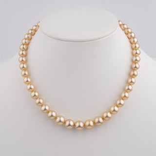 8.1–10.9 mm AA+/AAA Golden South Sea Round Pearl Necklace displayed on a white bust, featuring lustrous golden south sea cultured pearls with a smooth, round shape.