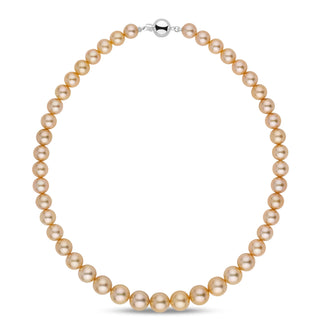 8.1–10.9 mm AA+/AAA Golden South Sea Round Pearl Necklace featuring lustrous golden pearls with a polished 14K white gold clasp, perfect for elegant and timeless style.
