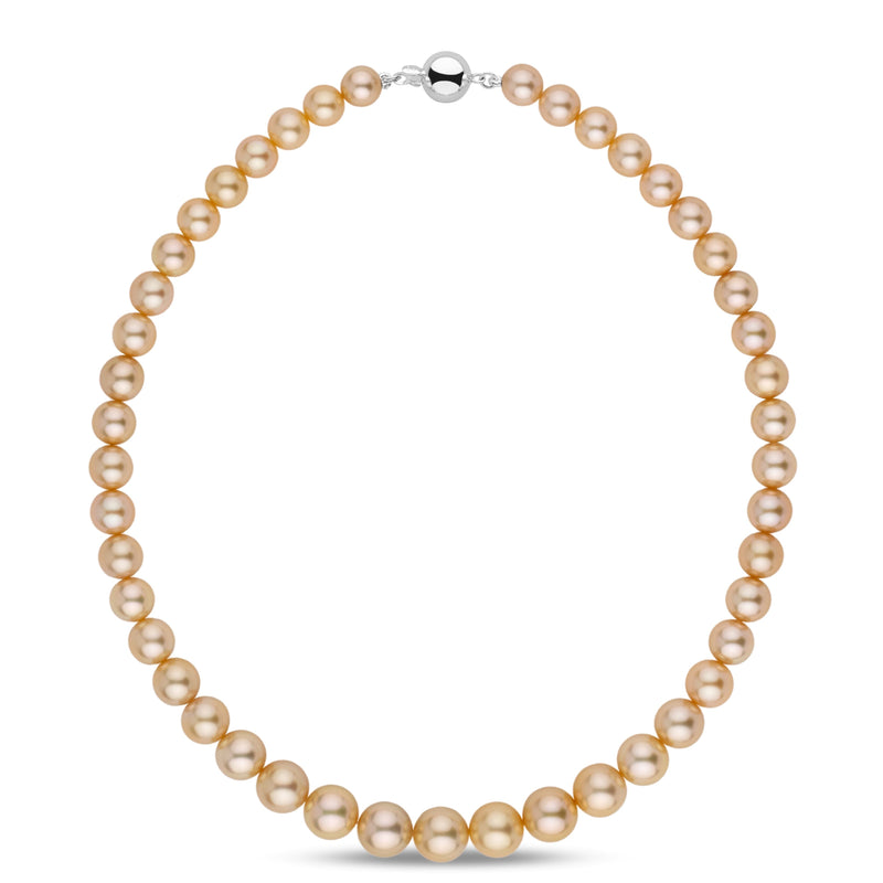 grn-2006-wg_800x.jpg?v=1760667942