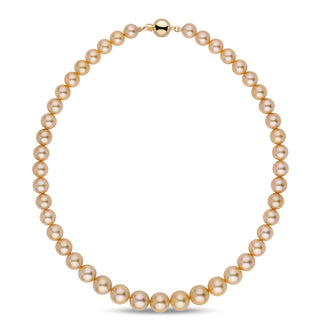 8.1–10.9 mm AA+/AAA Golden South Sea Round Pearl Necklace featuring lustrous, smooth golden pearls with a polished gold clasp, perfect for elegant and timeless style.