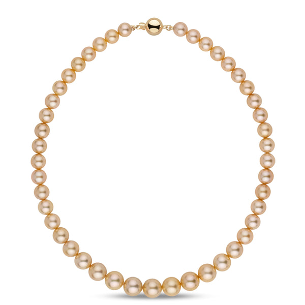 8.1–10.9 mm AA+/AAA Golden South Sea Round Pearl Necklace featuring lustrous, smooth golden pearls with a polished gold clasp, perfect for elegant and timeless style.