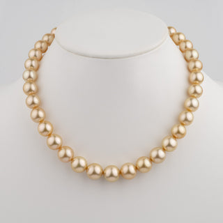 10.0–13.2 mm AA+/AAA Golden South Sea Round Pearl Necklace displayed on a white bust showcasing lustrous golden pearls with smooth, round shapes.