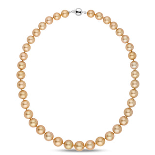 8.4–11.6 mm AA+/AAA Round Golden South Sea Pearl Necklace with lustrous golden pearls and a 14K white gold clasp, showcasing cultured South Sea pearls in a classic strand design.