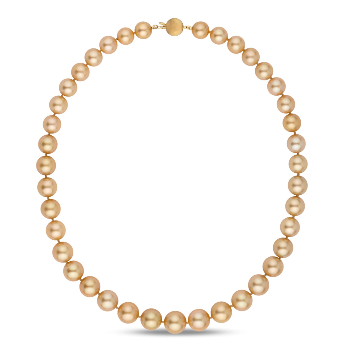 8.4–11.6 mm AA+/AAA Round Golden South Sea Pearl Necklace featuring lustrous, perfectly round golden pearls with a secure gold clasp, showcasing classic elegance.