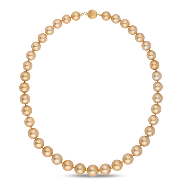 8.4–11.6 mm AA+/AAA Round Golden South Sea Pearl Necklace featuring lustrous, perfectly round golden pearls with a secure gold clasp, showcasing classic elegance.