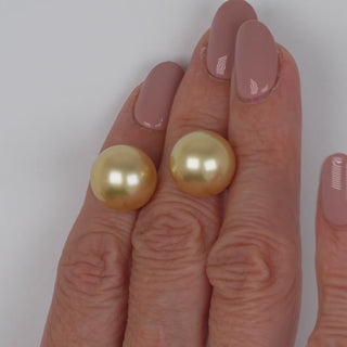 12.0-13.0 mm Golden South Sea Pearl Stud Earrings