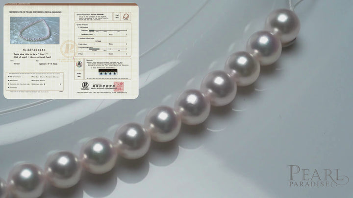 7.5-8.0 mm Hanadama Akoya Strand - PSL Certificate SS-201287