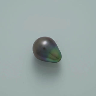 13.6 x 10.5 mm Fijian Drop Pearl