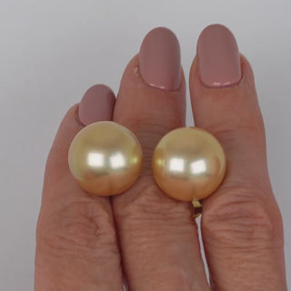 15.0-16.0 mm Golden South Sea Pearl Stud Earrings