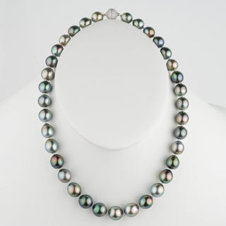 Assael Collection: 10.0–11.7 mm Fijian Pearl Necklace featuring lustrous dark multicolored pearls with a sparkling clasp, displayed on a white bust.