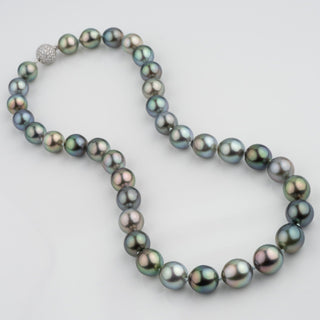 Assael Collection: 10.0–11.7 mm Fijian Pearl Necklace featuring a strand of lustrous, multi-colored Fijian pearls with a sparkling clasp, showcasing exquisite cultured pearl craftsmanship.