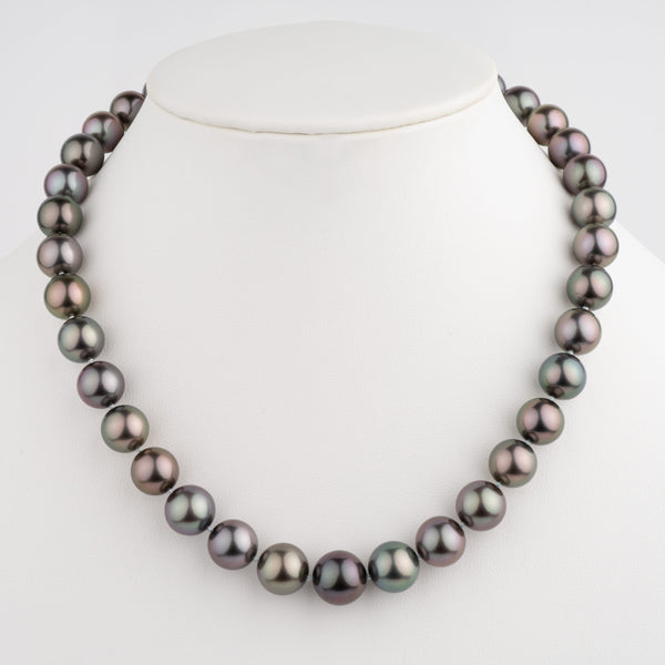 Assael Collection: 11.0–13.3 mm Round Tahitian Pearl Necklace featuring a strand of lustrous dark Tahitian pearls with subtle green and purple overtones on a white display bust.
