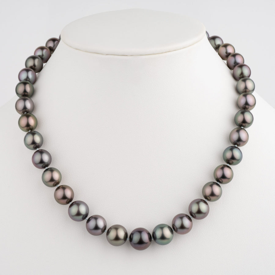 Assael Collection: 11.0–13.3 mm Round Tahitian Pearl Necklace featuring a strand of lustrous dark Tahitian pearls with subtle green and purple overtones on a white display bust.
