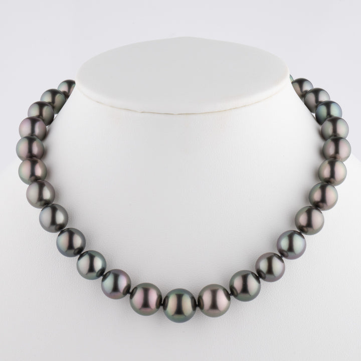 10.6-13.6 mm Round Tahitian Pearl Necklace on bust