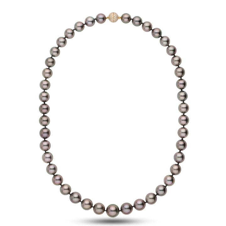 Assael Collection: 9.0–11.7 mm Round Tahitian Pearl Necklace diamond clasp