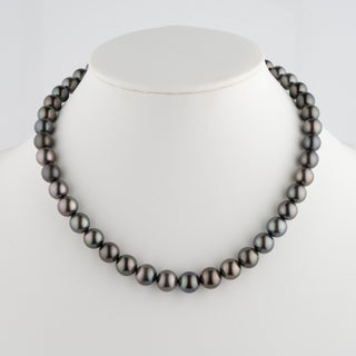 Elegant 8.6-10.8 mm AA+/AAA Tahitian Round Pearl Necklace featuring lustrous black and dark grey cultured pearls with subtle iridescent hues, displayed on a white bust.
