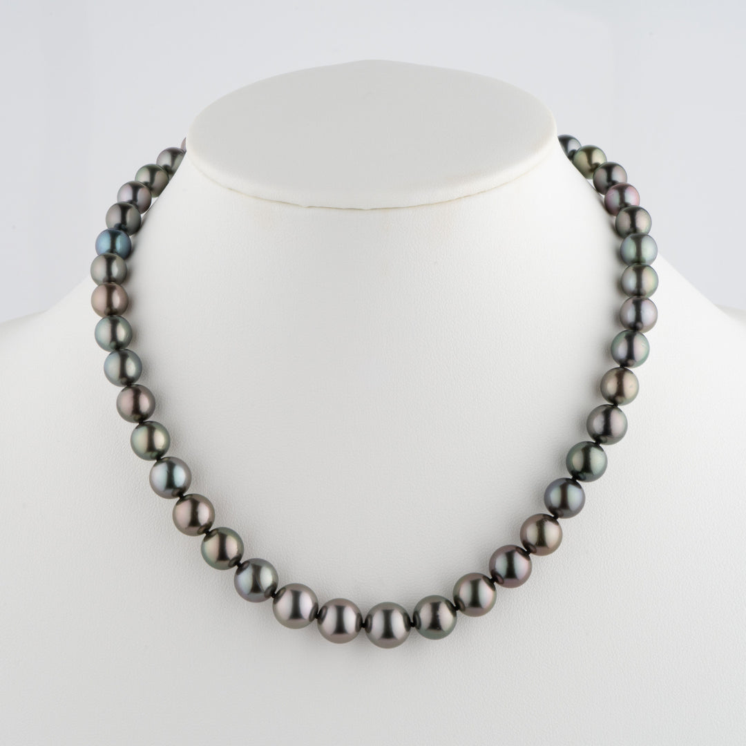 8.1-10.9 mm AA+/AAA Tahitian Round Pearl Necklace displayed on a white bust, showcasing lustrous black and peacock-colored cultured pearls in a classic strand design.