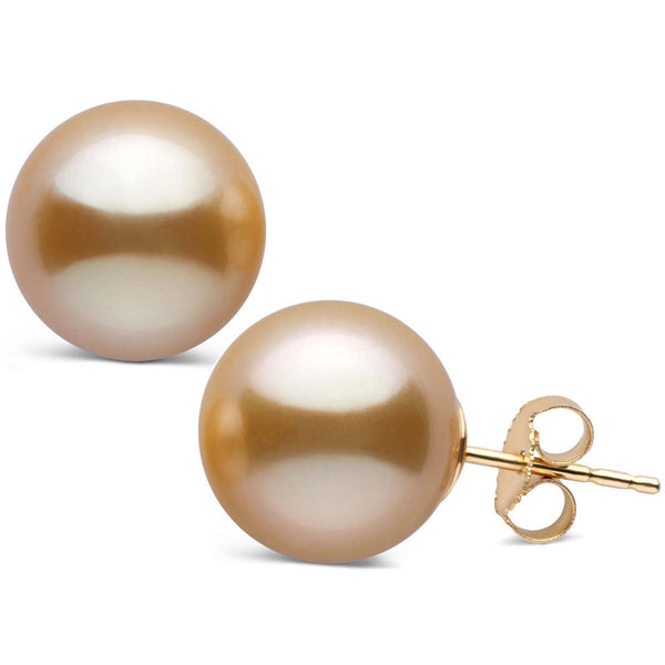 12.0-13.0 mm AAA Golden South Sea Pearl Stud Earrings yg