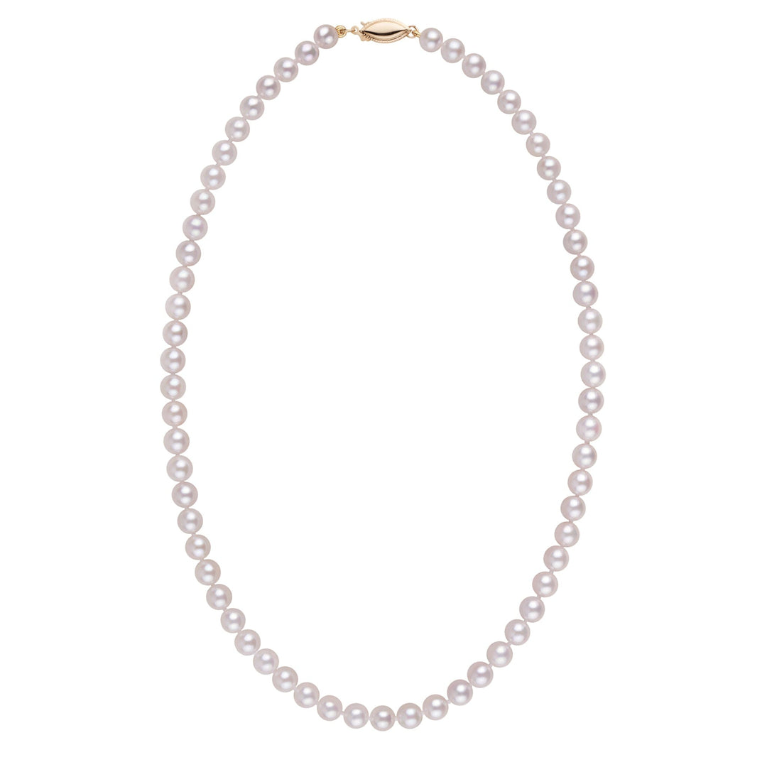 5.5-6.0 mm 16 Inch AA+ White Akoya Pearl Necklace Yellow Gold