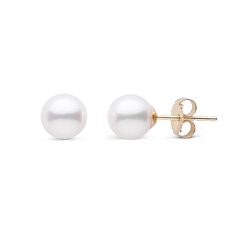 6.0-6.5 mm AA+ White Akoya Pearl Stud Earrings Yellow Gold