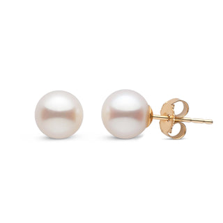 6.5-7.0 mm AAA white Freshwater Pearl Stud Earrings yellow gold