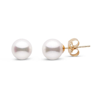 6.5-7.0 mm White Akoya AA+ Pearl Stud Earrings Yellow Gold