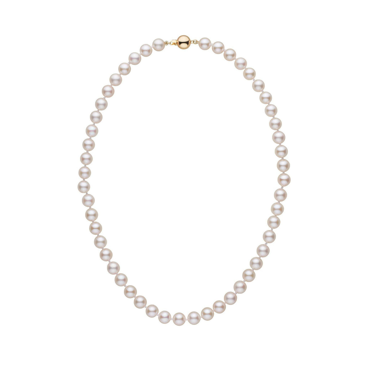 7.0-7.5 mm White Akoya AA+ Pearl Necklace Yellow Gold